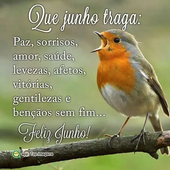 Feliz junho