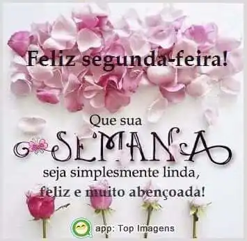 Feliz segunda-feira