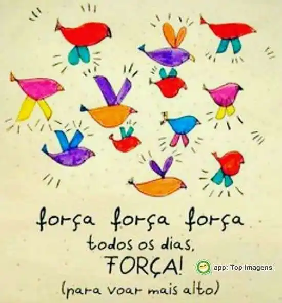 Força todos os dias