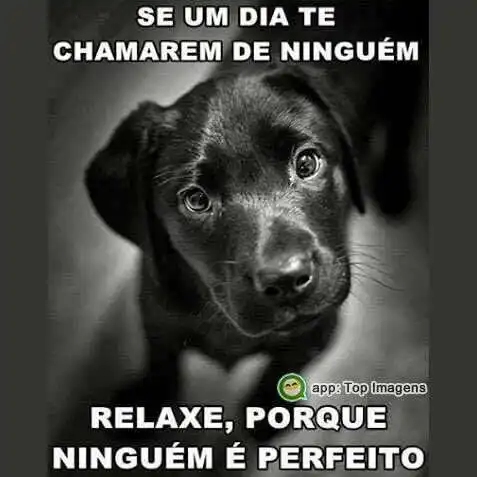 Ninguém é perfeito