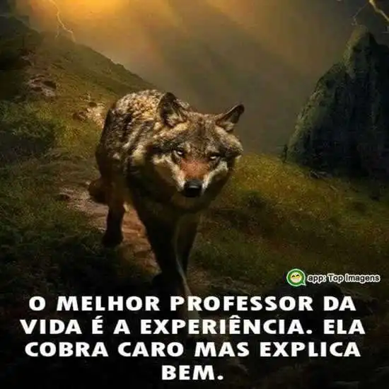 Professor da vida