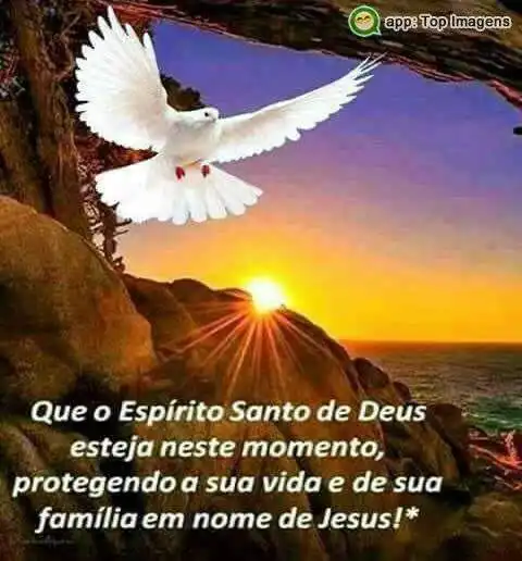 Proteção para a família