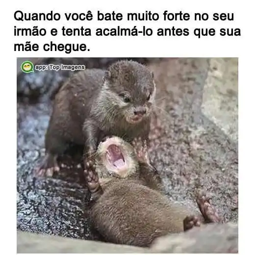 Quando bate forte no seu irmão