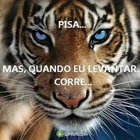 Quando eu levantar corre