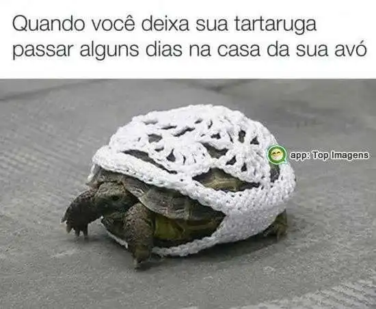 Tartaruga com a avó
