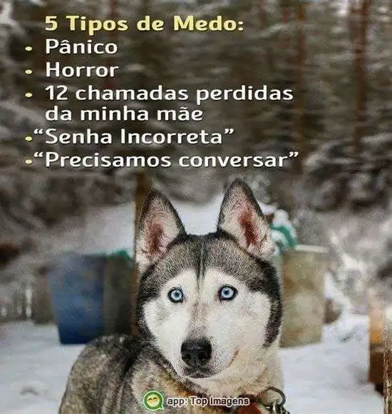Tipos de medo