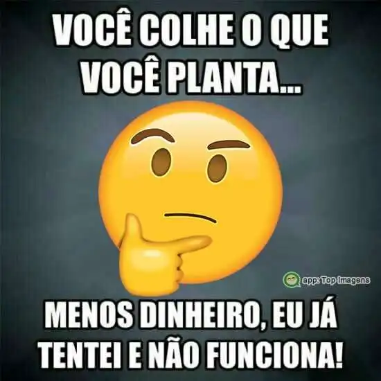 Você colhe o que planta
