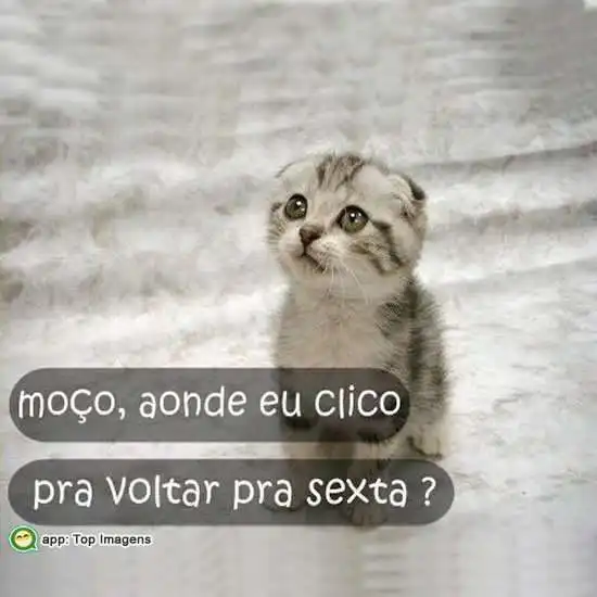 Voltar pra sexta