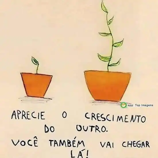 Aprecie o crescimento do outro
