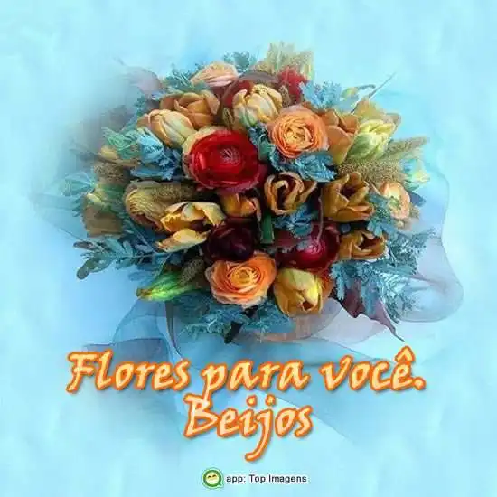 Beijos pra você