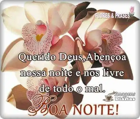 Boa noite