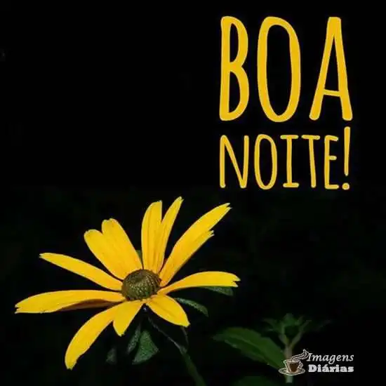 Boa noite
