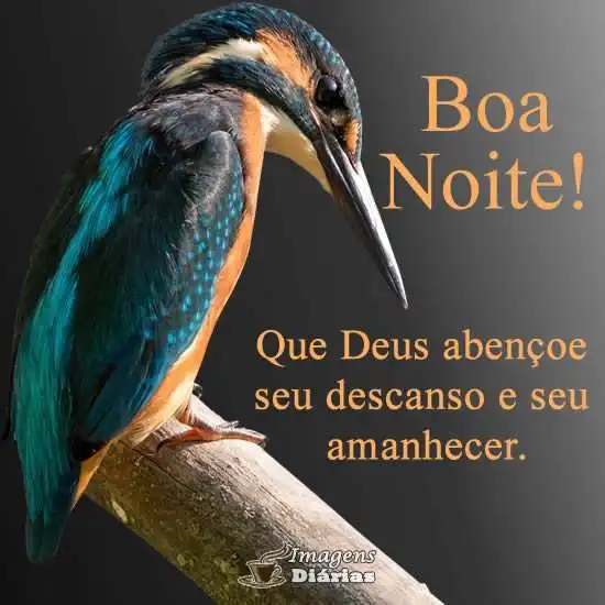 Boa noite