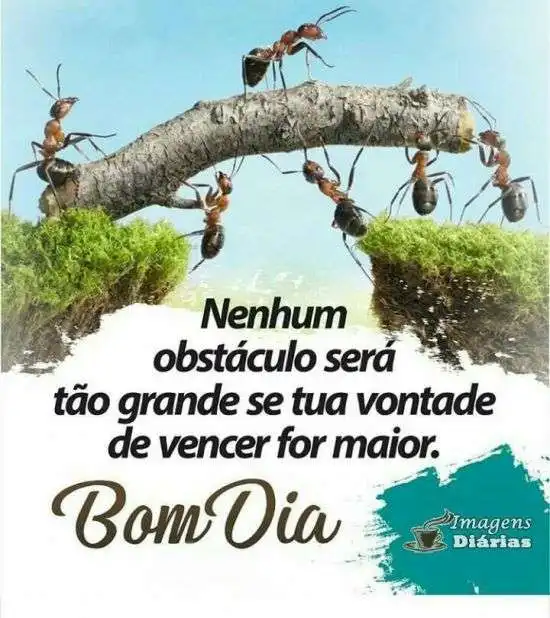 Bom dia
