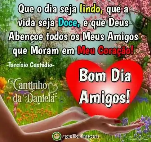 Bom dia amigos