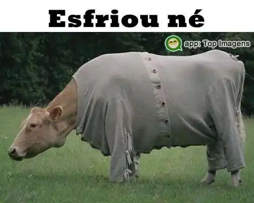 Esfriou né