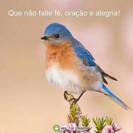 Fé, oração e alegria