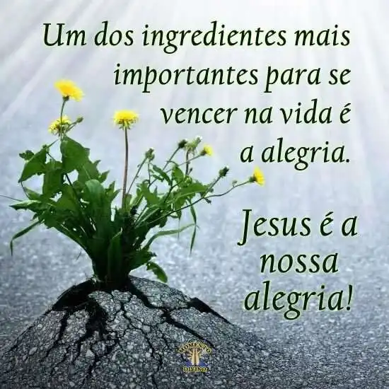 Jesus é a nossa alegria