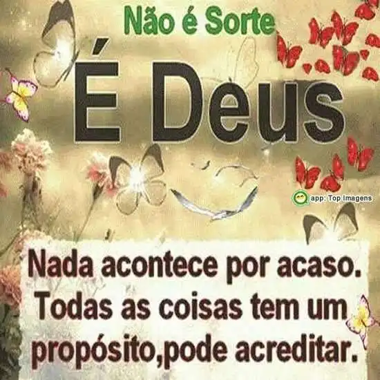 Nada acontece por acaso