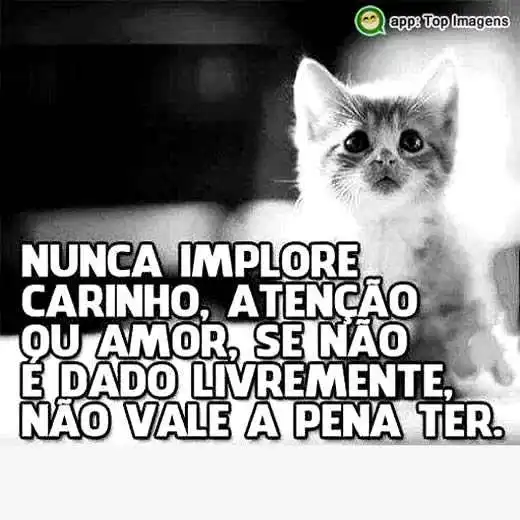 Nunca implore carinho