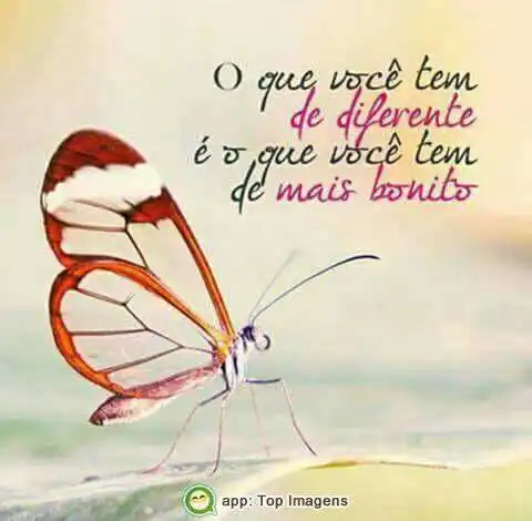O que tem de diferente