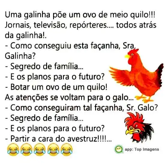 Piada de galo