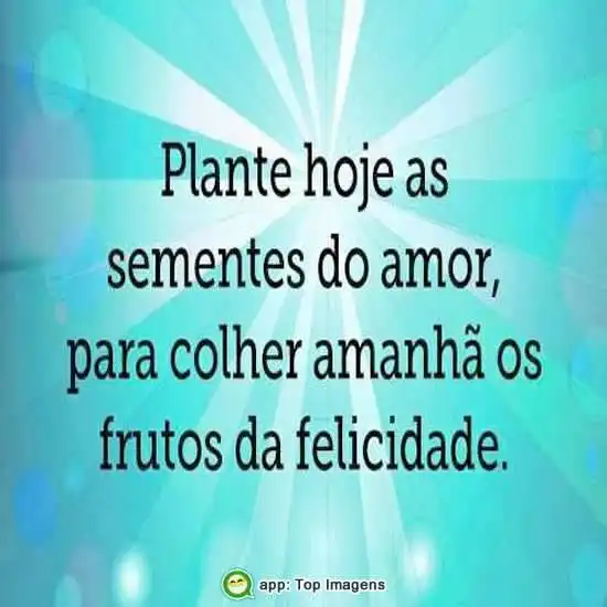 Plante as sementes do amor