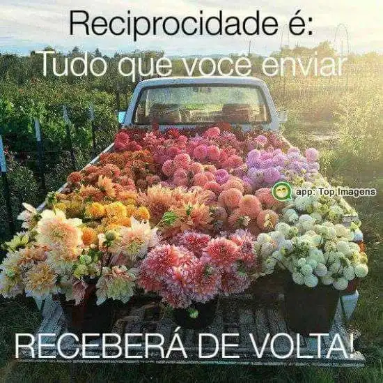 Reciprocidade