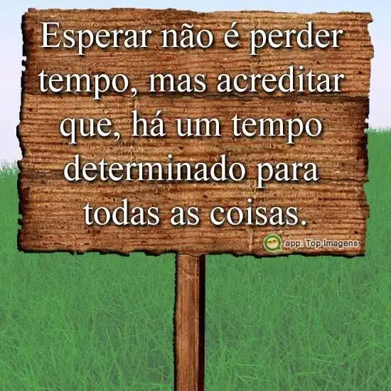 Saber esperar