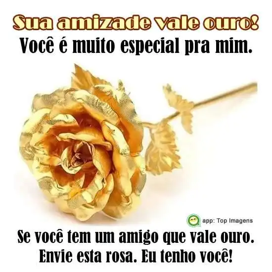Sua amizade vale ouro