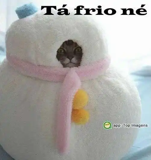 Tá frio né
