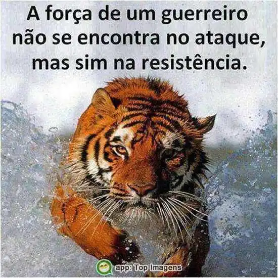 A força de um guerreiro