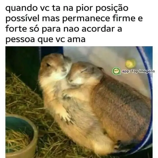 Acordar quem ama