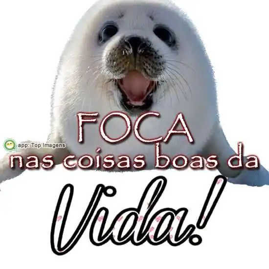 Foca nas coisas boas