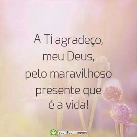 Maravilhoso presente