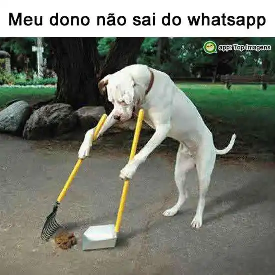 Não sai do whatsapp