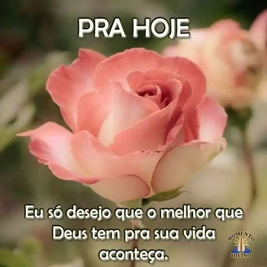 Pra hoje, te desejo o melhor