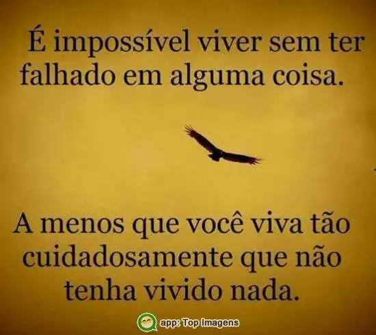 Viver sem ter falhado