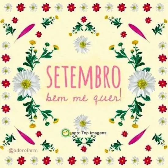 Setembro bem me quer