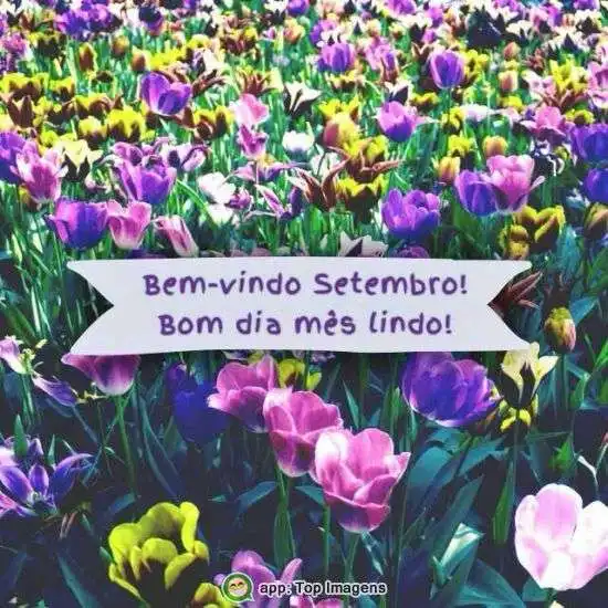 Bem-vindo setembro