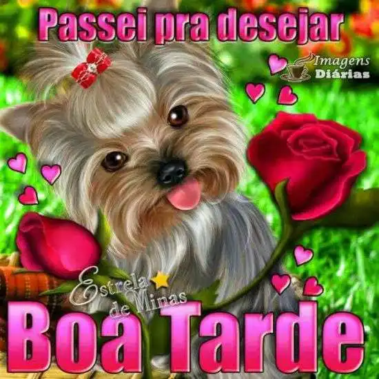 Boa tarde