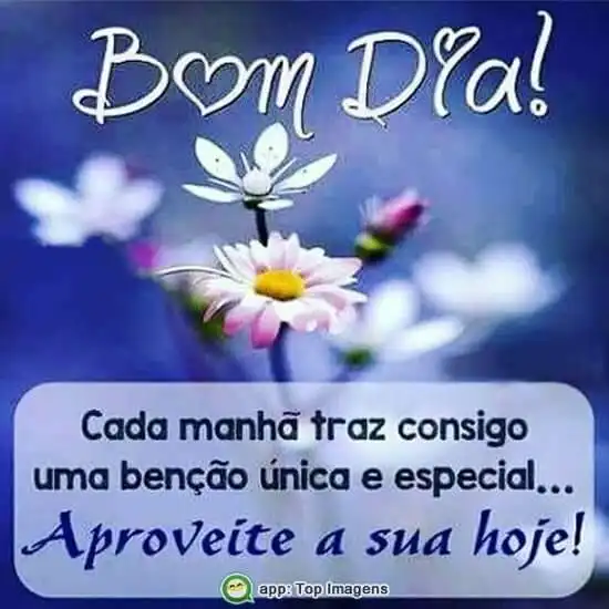 Bom dia