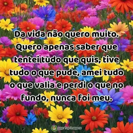 Da vida não quero muito