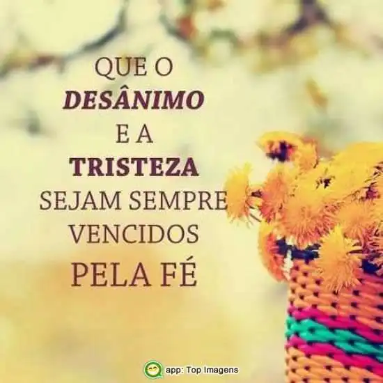 Desânimo e tristeza vencidos pela fé
