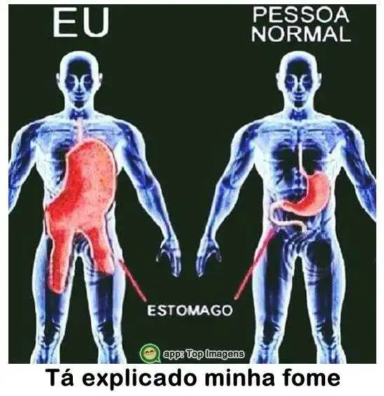 Explicando minha fome