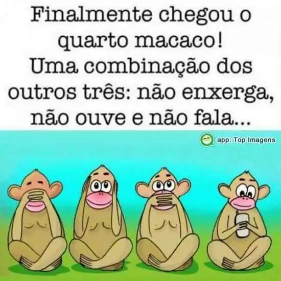 Finalmente chegou o quarto macaco