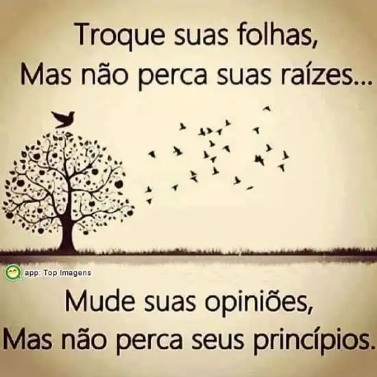 Mude suas opiniões