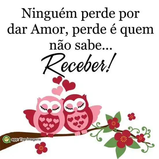 Ninguém perde por dar amor