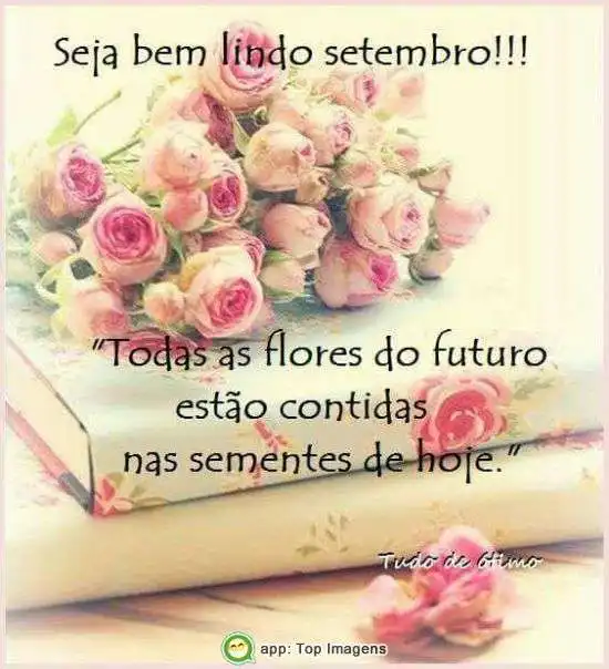 Seja bem lindo setembro