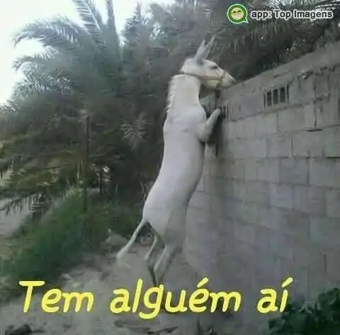 Tem alguém aí?